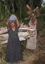 Vrouwen in PNG die brandhout dragen.